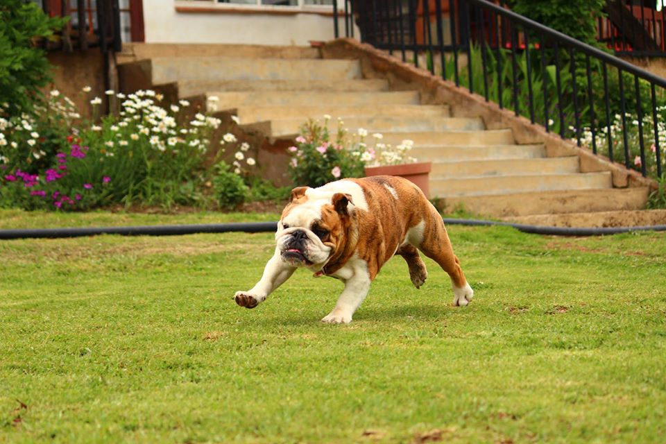 24955795_1615001425225456_1707484468649028785_o