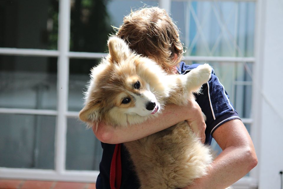 27164449_1667874966604768_3848581168411493285_o