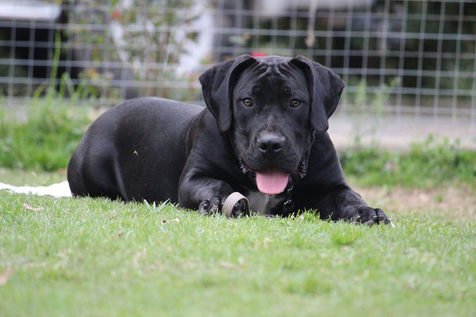 31484770_1768478883211042_8437003919124594688_o