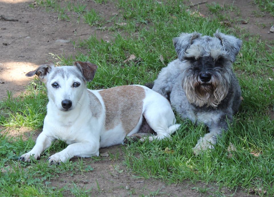 48921846_2103025279756399_2323252178111692800_o