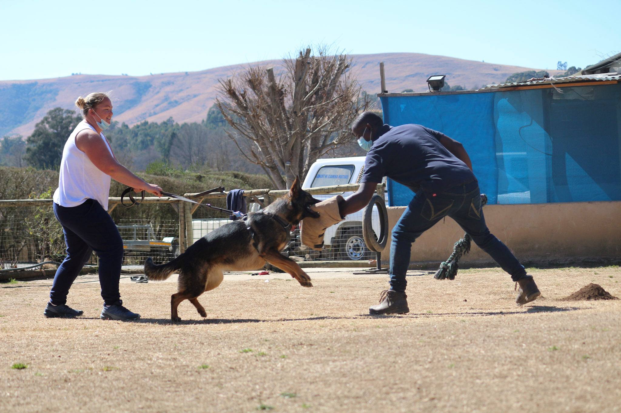 235352198_4569492496442986_7243823683575557548_n